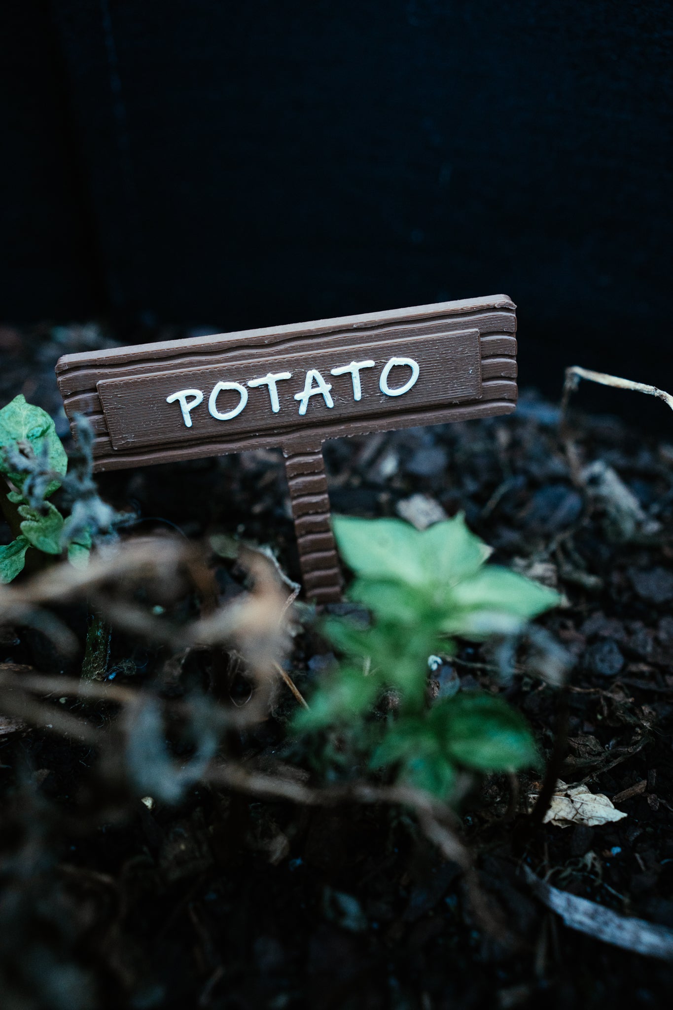 Vegetable & Herb Garden Plant Stake