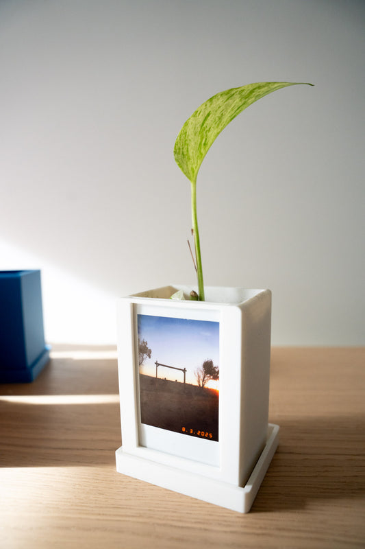 Instax Photo Plant Pot with Drip Tray – Desk Decor