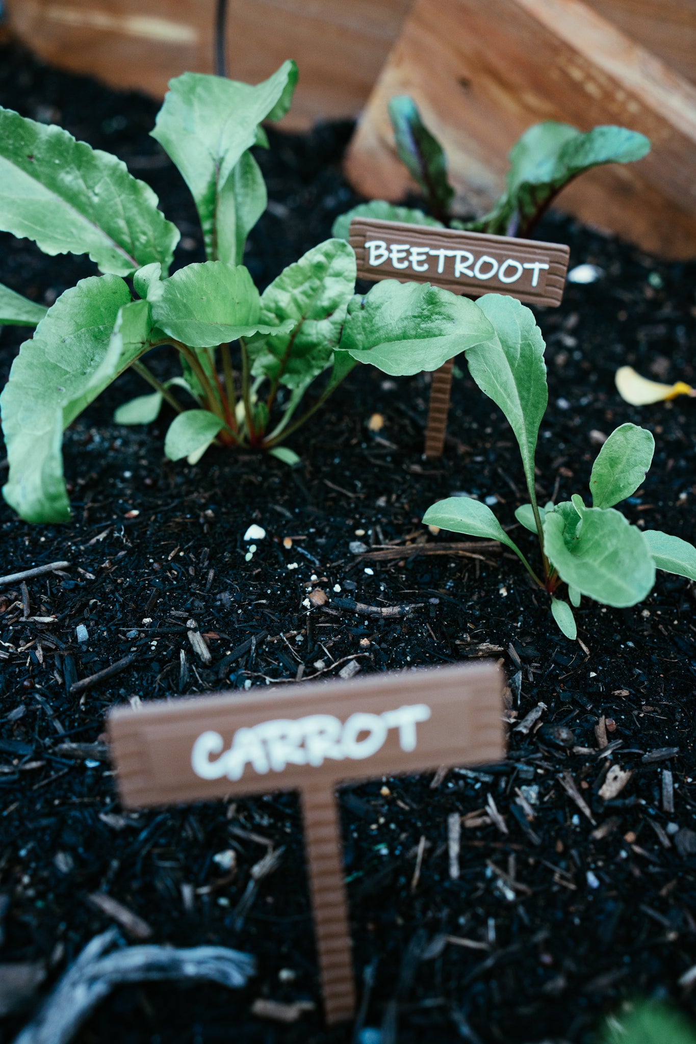 Vegetable & Herb Garden Plant Stake