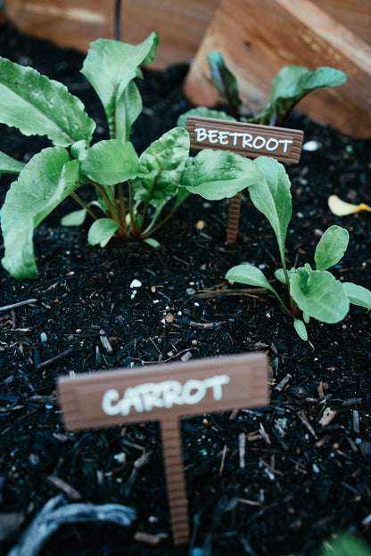 Vegetable & Herb Garden Plant Stake