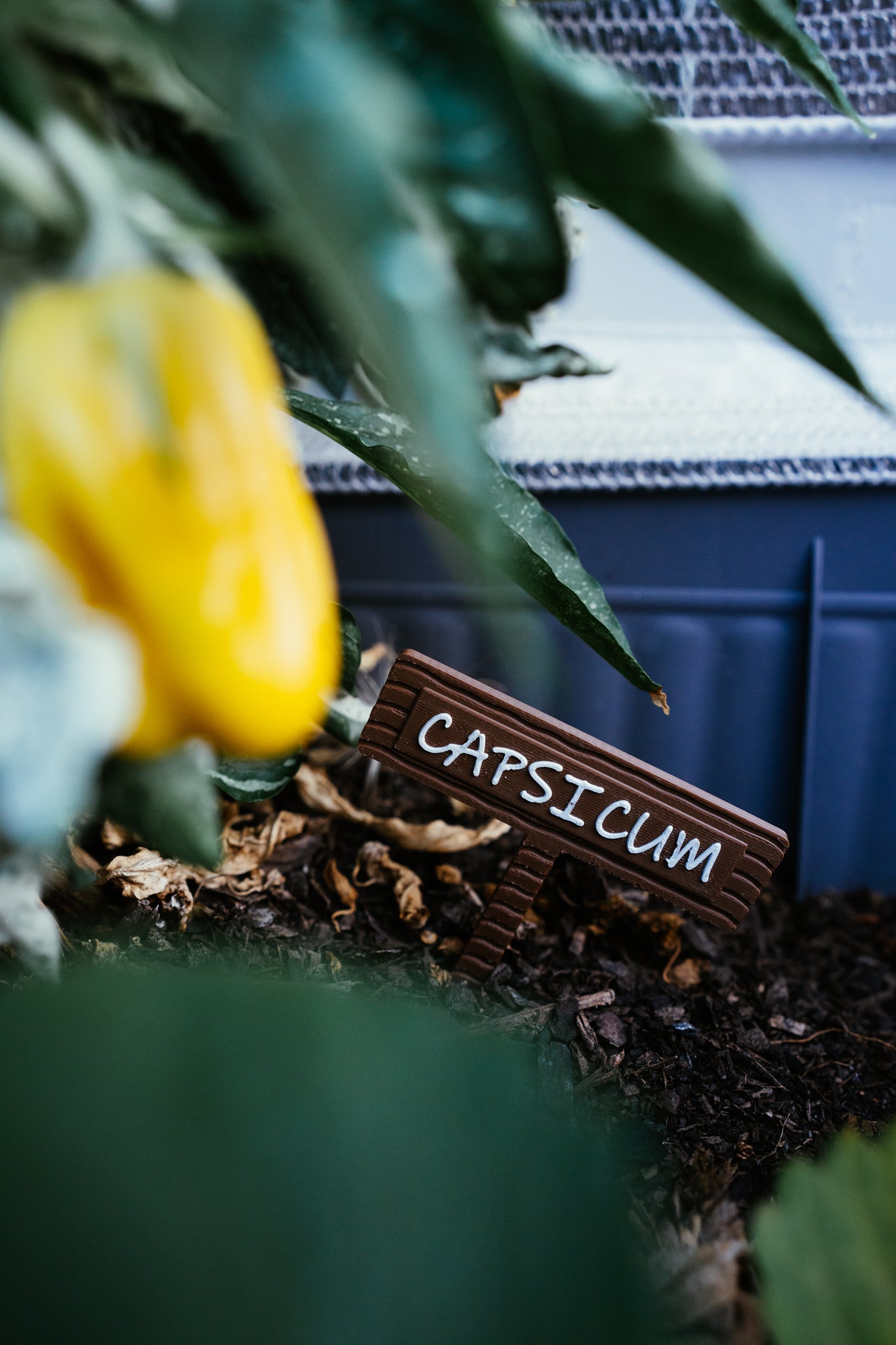 Vegetable & Herb Garden Plant Stake