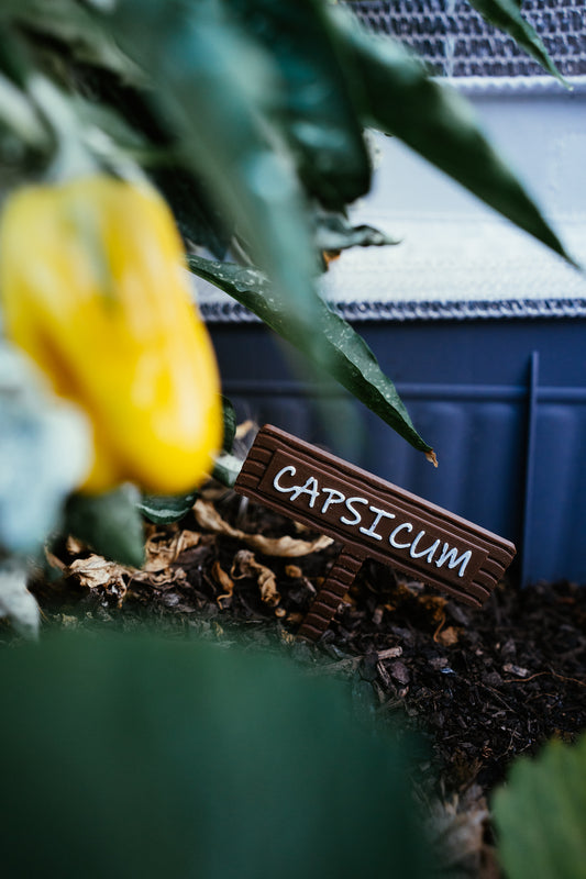 Vegetable & Herb Garden Plant Stake