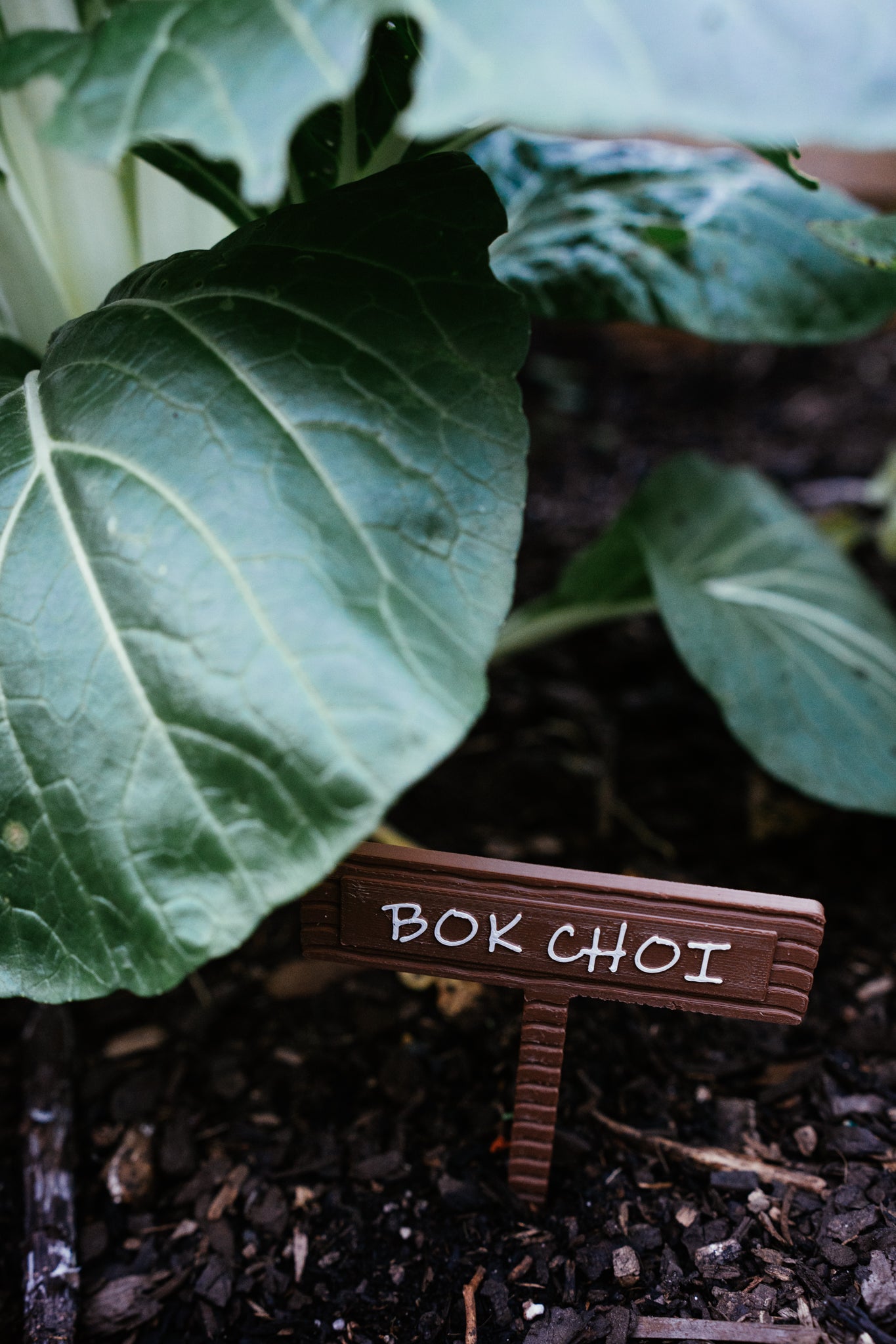 Vegetable & Herb Garden Plant Stake