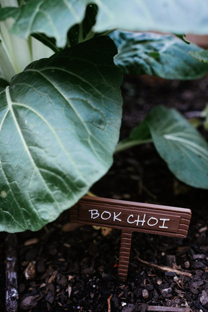Vegetable & Herb Garden Plant Stake
