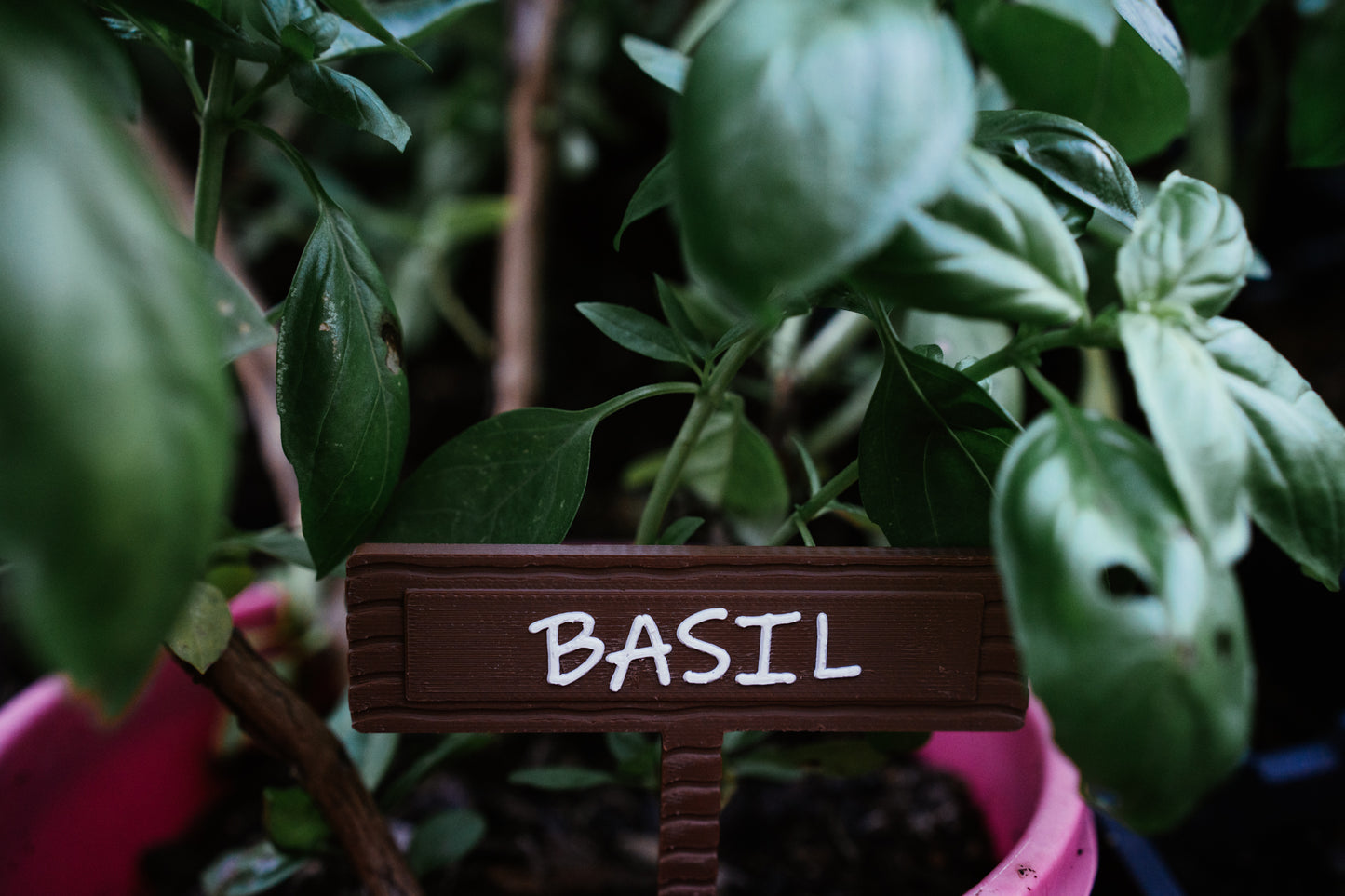 Vegetable & Herb Garden Plant Stake